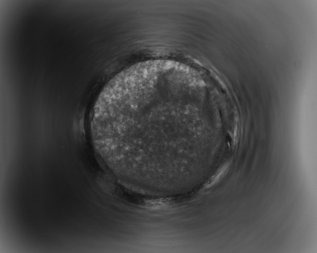 X0000087520516200705181015