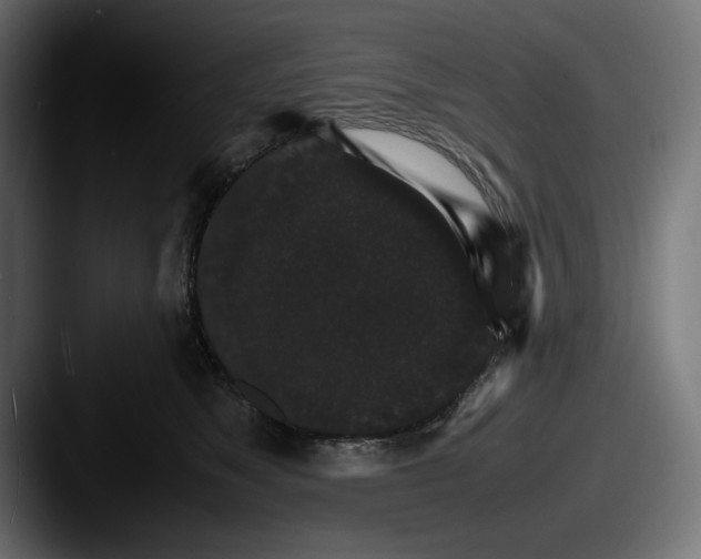 X0000087520517200705181015