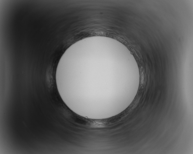 X0000087520518200705181015