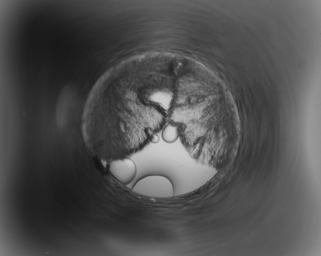 X0000087520519200705181015