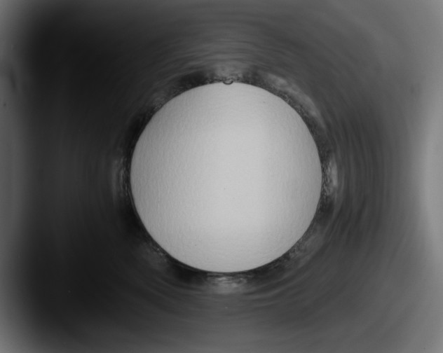 X0000087520522200705181015