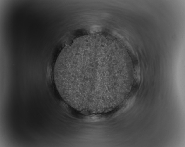 X0000087520523200705181015