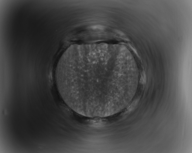 X0000087520524200705181015