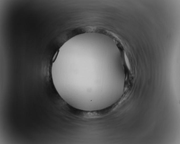 X0000087520525200705181015