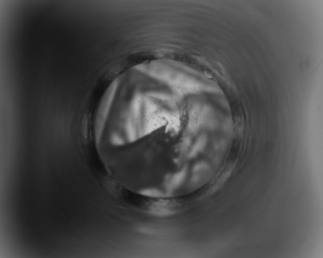 X0000087520527200705181015