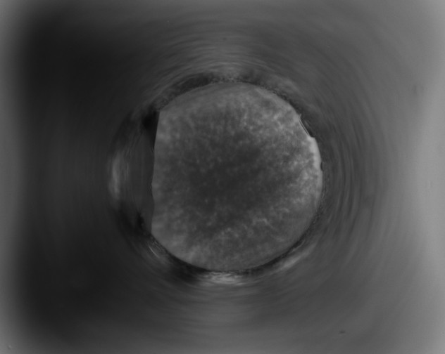 X0000087520528200705181015