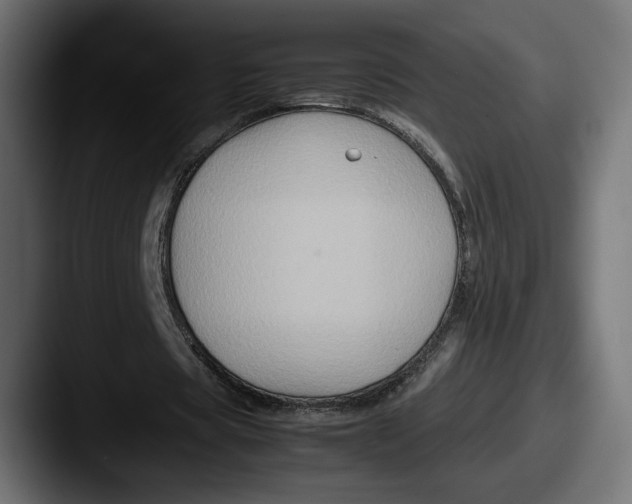 X0000087520529200705181014