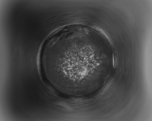 X0000087520531200705181014