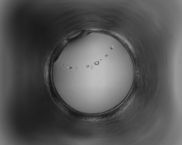 X0000087520533200705181014