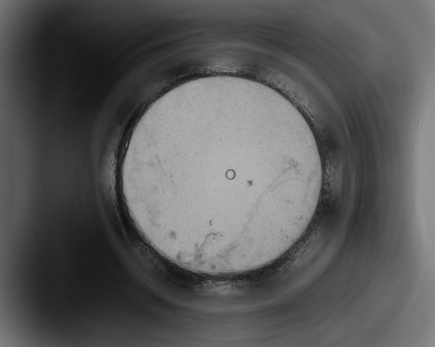 X0000087520534200705181014