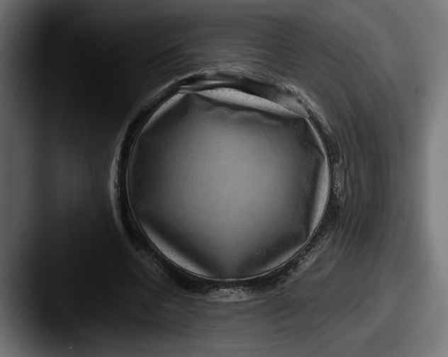 X0000087520536200705181014