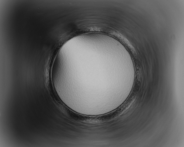 X0000087520537200705181014