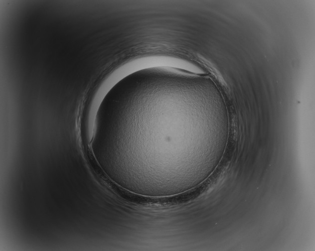 X0000087520538200705181014