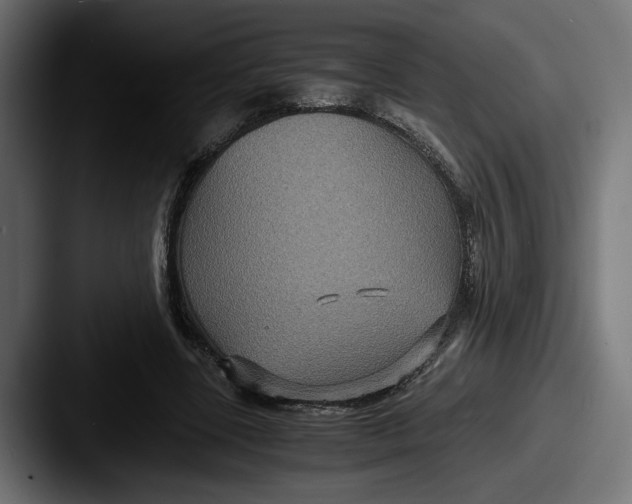 X0000087520539200705181014