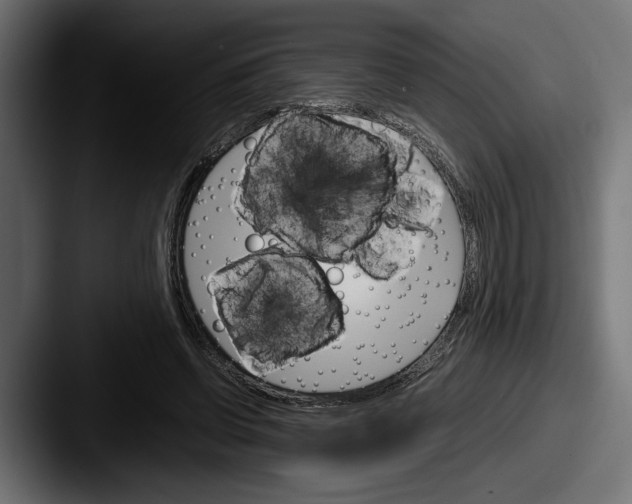 X0000087520542200705181014