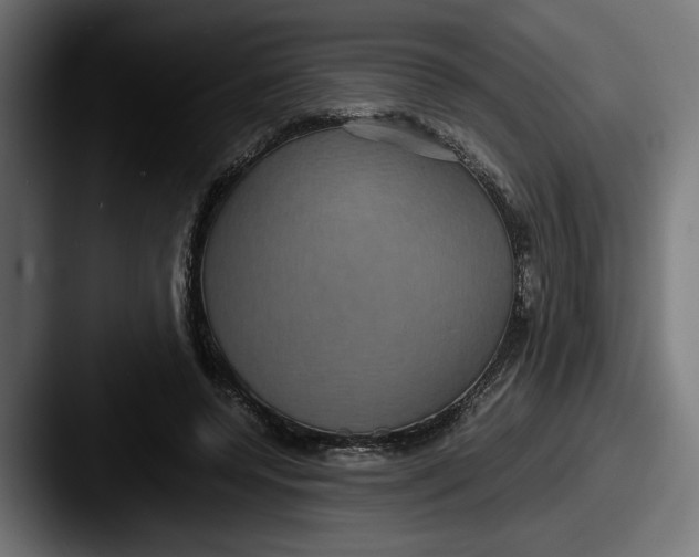 X0000087520544200705181014