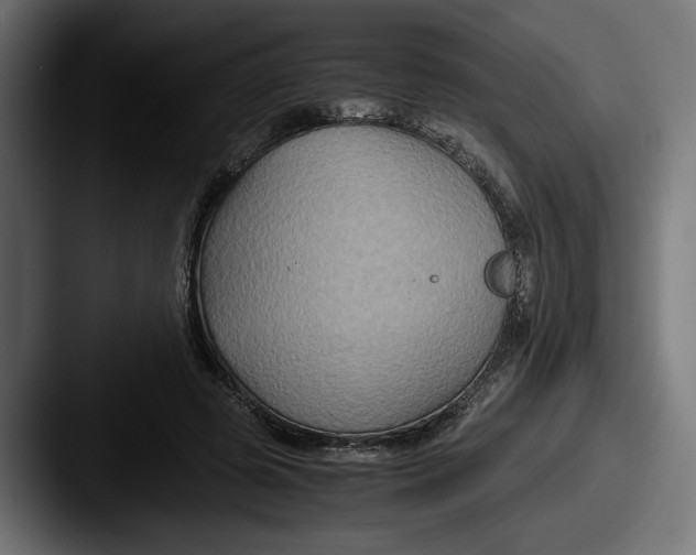 X0000087520545200705181014