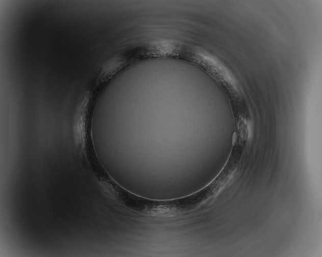 X0000087520546200705181014