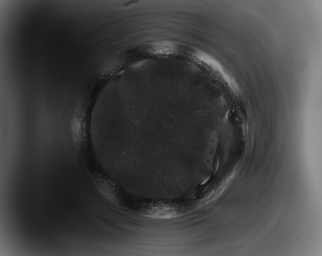 X0000087520547200705181014