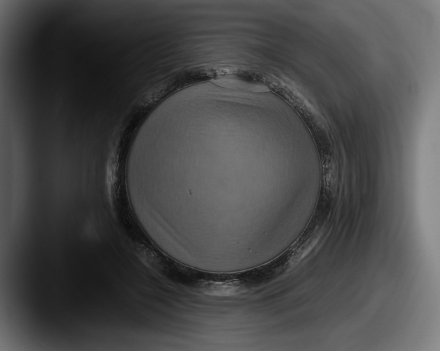 X0000087520548200705181014