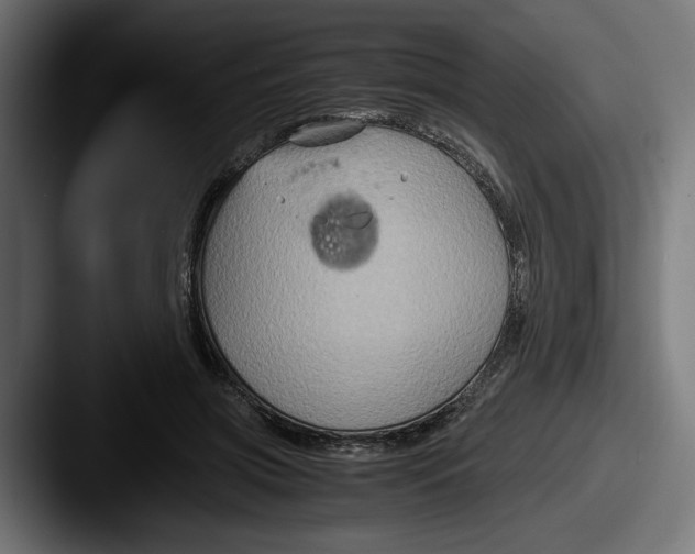 X0000087520549200705181014