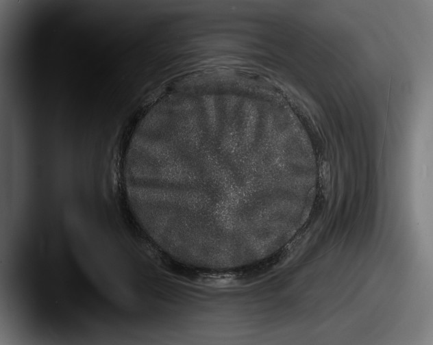 X0000087520554200705181014