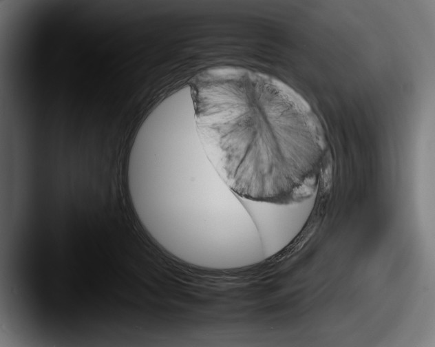 X0000087520561200705181014