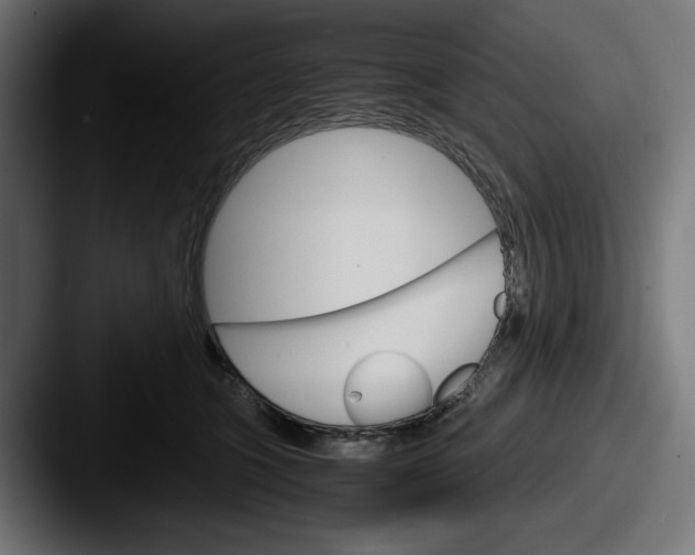 X0000087520563200705181014