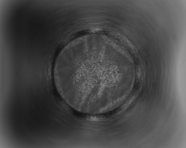 X0000087520565200705181014