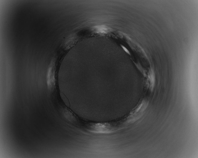 X0000087520566200705181014