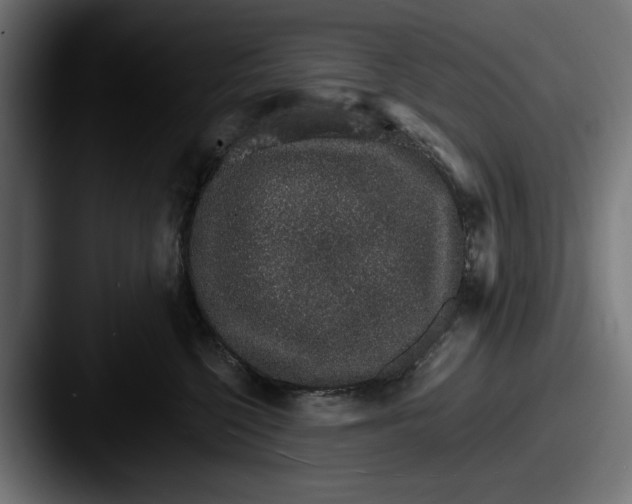 X0000087520568200705181014