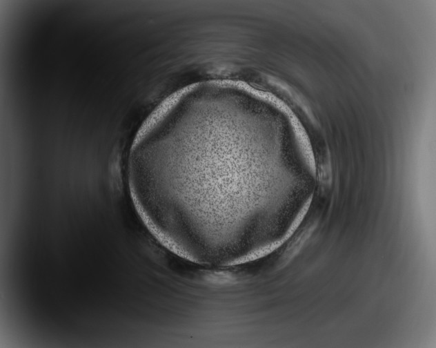 X0000087520572200705181014