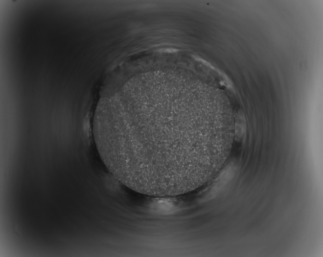 X0000087520573200705181014