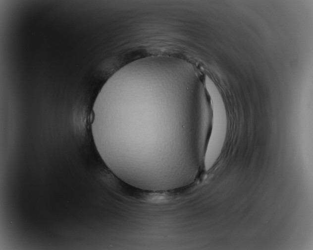 X0000087520574200705181014