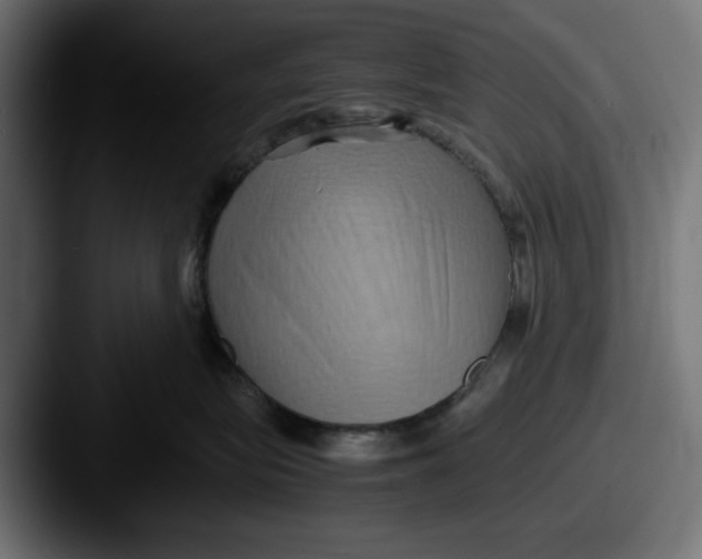 X0000087520575200705181014