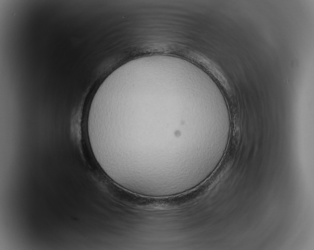 X0000087520578200705181014