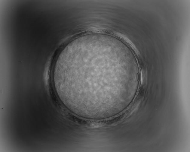 X0000087520579200705181014