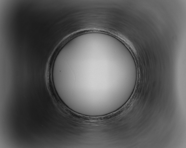 X0000087520580200705181014