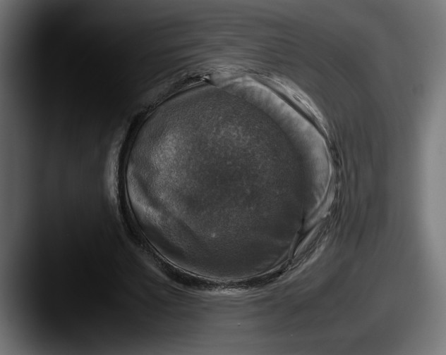 X0000087520581200705181014