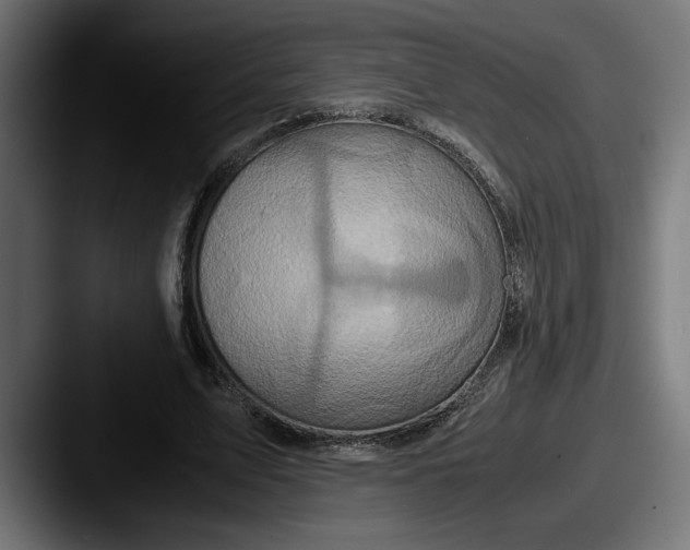 X0000087520583200705181014