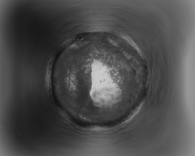 X0000087520585200705181014