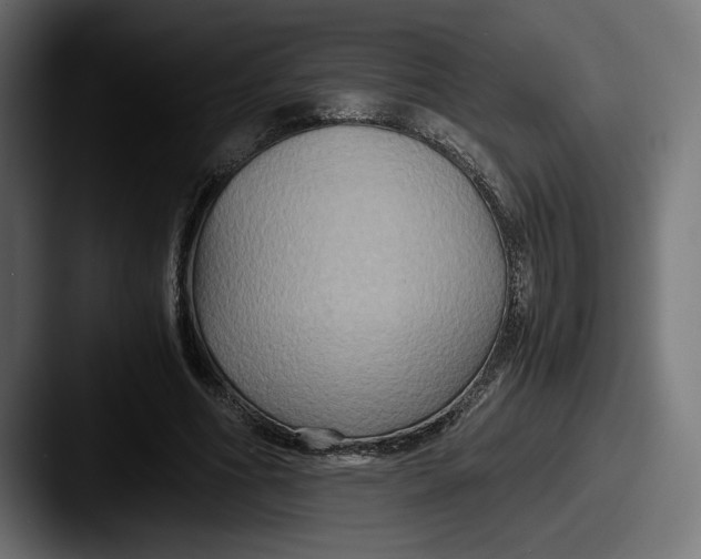 X0000087520586200705181014