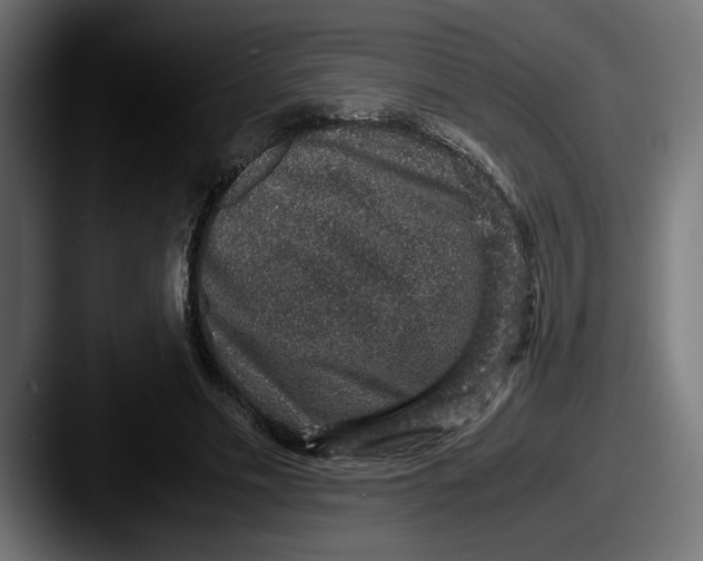 X0000087520589200705181014