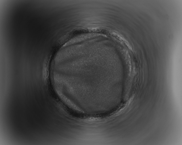 X0000087520593200705181014