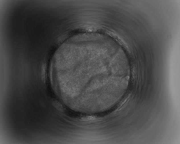 X0000087520594200705181014