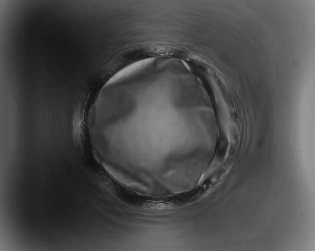 X0000087520597200705181014