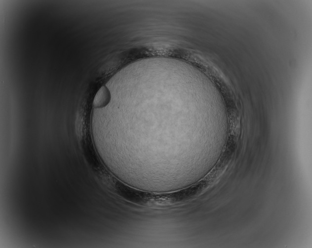 X0000087520599200705181014