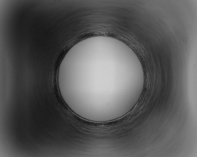 X0000087520600200705181014