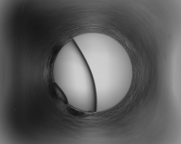 X0000087520601200705181014