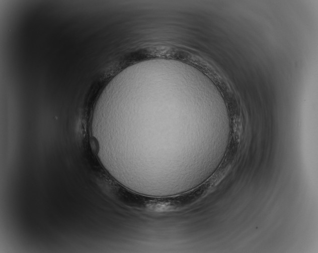 X0000087520602200705181014